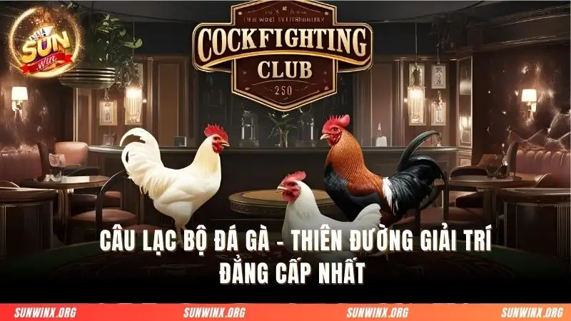 Câu lạc bộ đá gà
