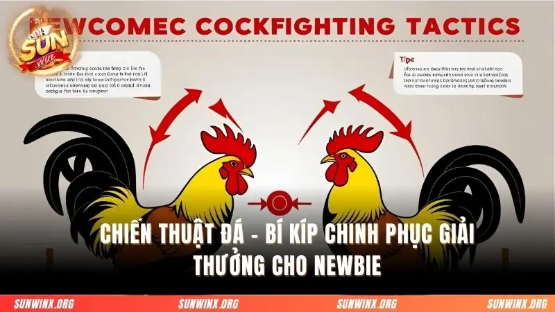 Chiến thuật đá