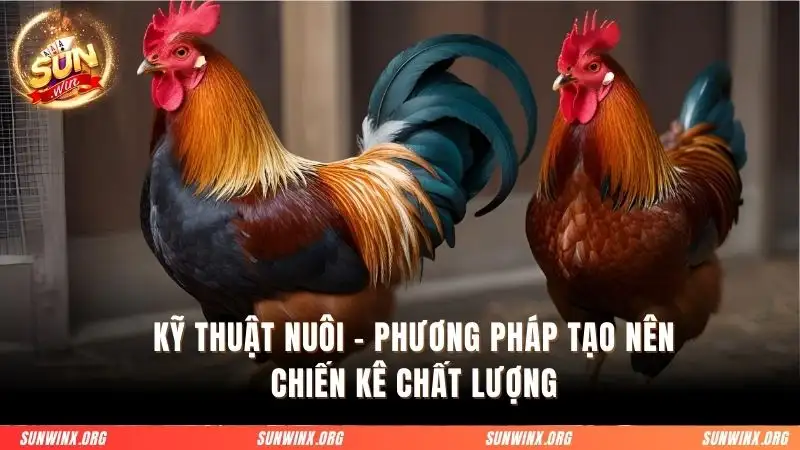 Kỹ thuật nuôi