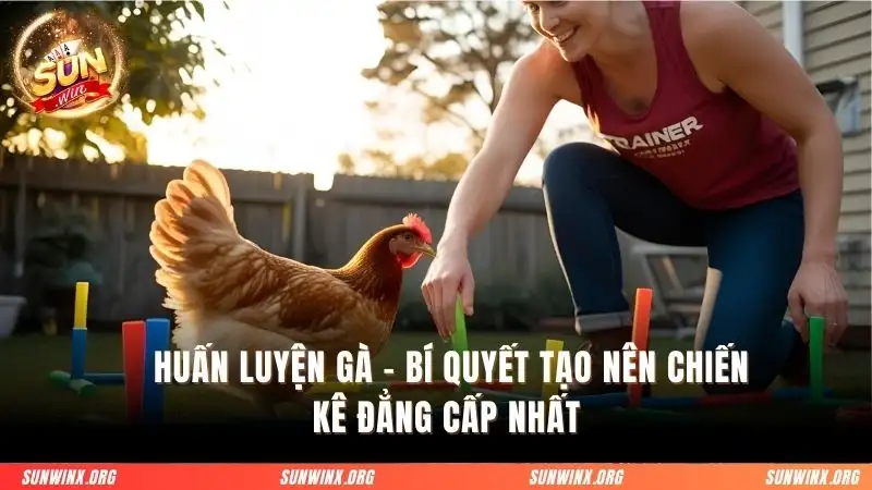 Huấn luyện gà
